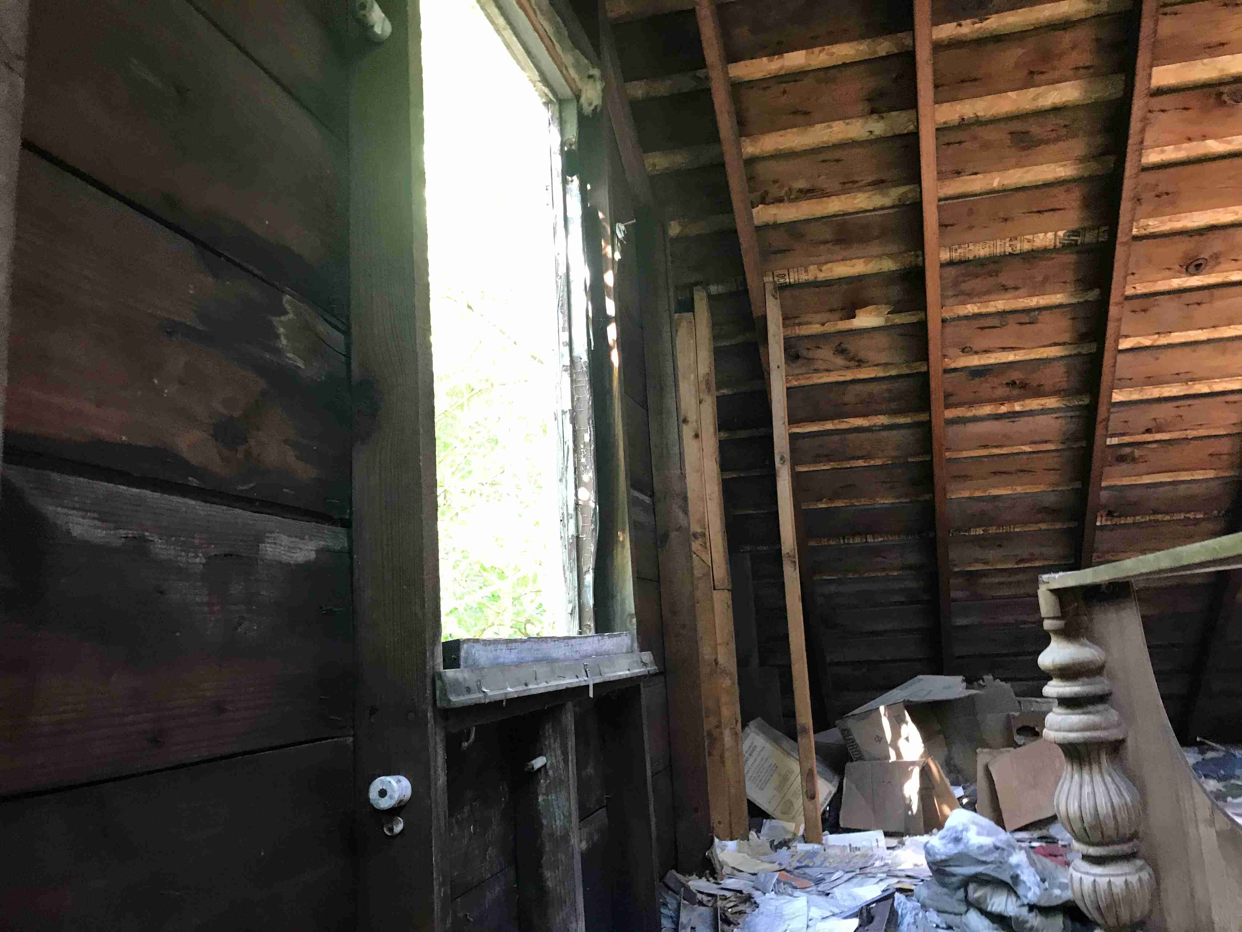 Photo Aug 20, 10 20 05 AM.jpg